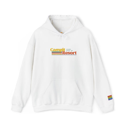 LGBTQ Vintage Logo Hoodie with Pride Flag Sleeve